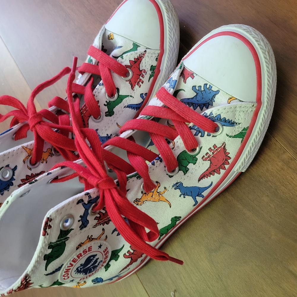 Converse Chucks Dinosaur Design